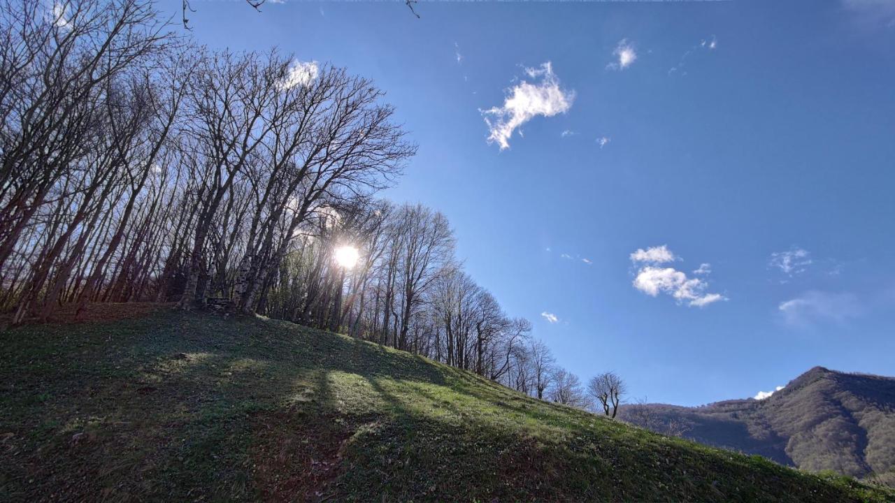 La Casetta Di Musita Brembilla Bagian luar foto