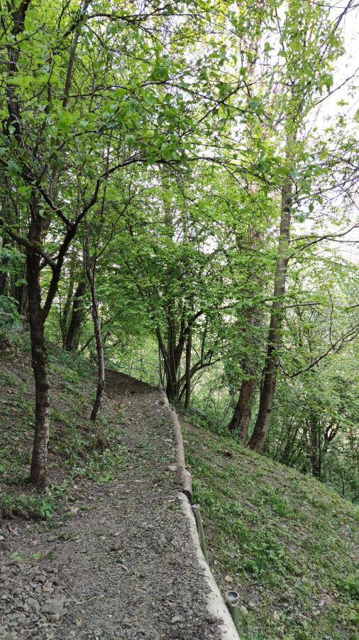 La Casetta Di Musita Brembilla Bagian luar foto